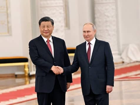 В погоне за бессмертием