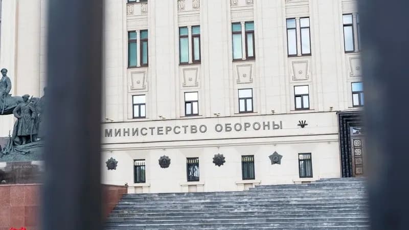 Лес на миллионы